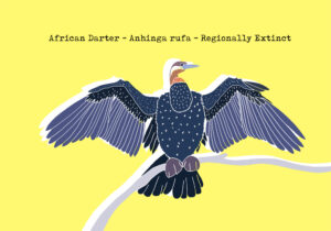 African Darter_Forever Extinct_by Virginia Elena Patrone
