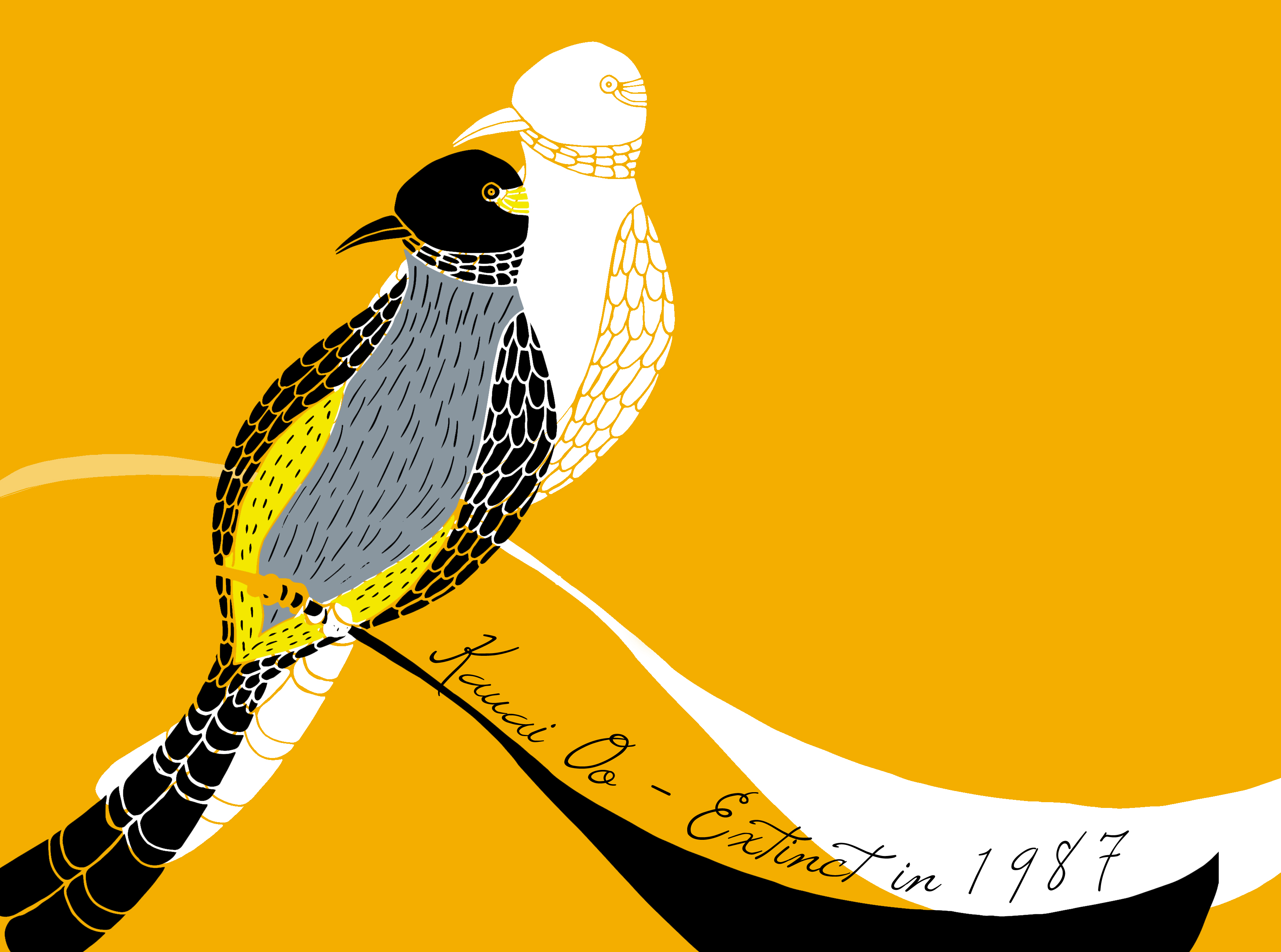 Radio Show Illustration – Forever Extinct / Ebedi Yok Oluş