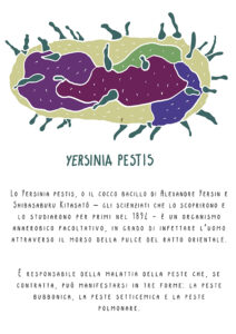 Yersinia Pestis_Pandemie by Virginia Elena Patrone